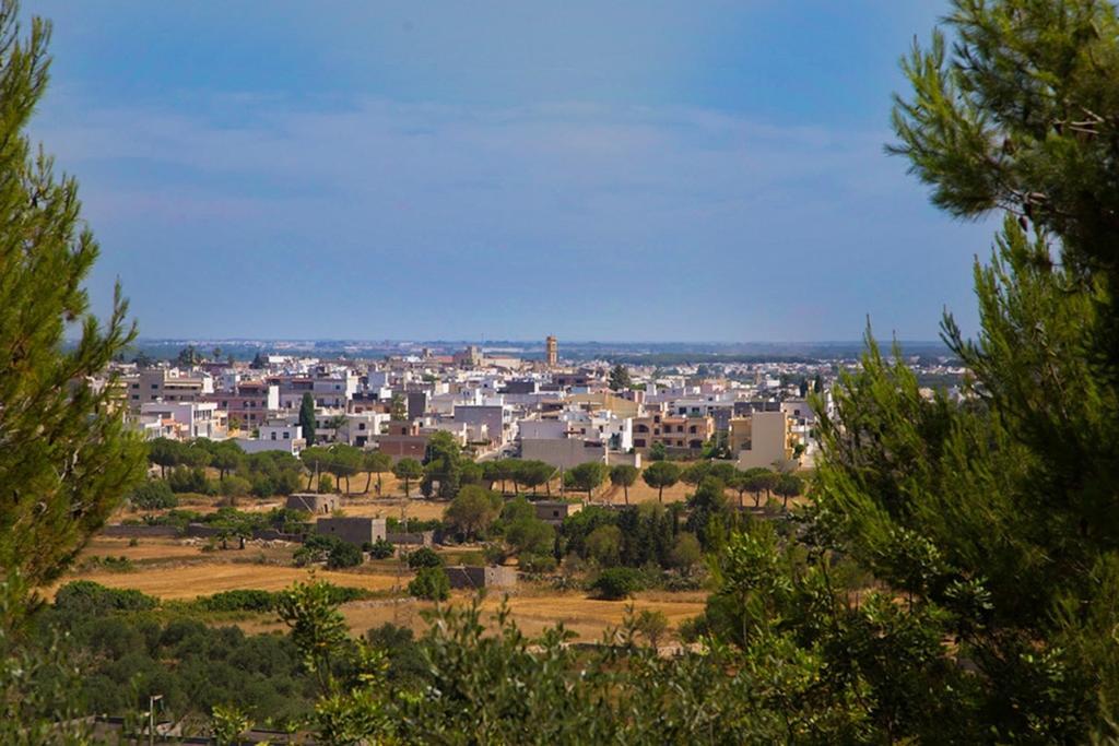 Residencefusaro Pajare Specchia Exteriér fotografie